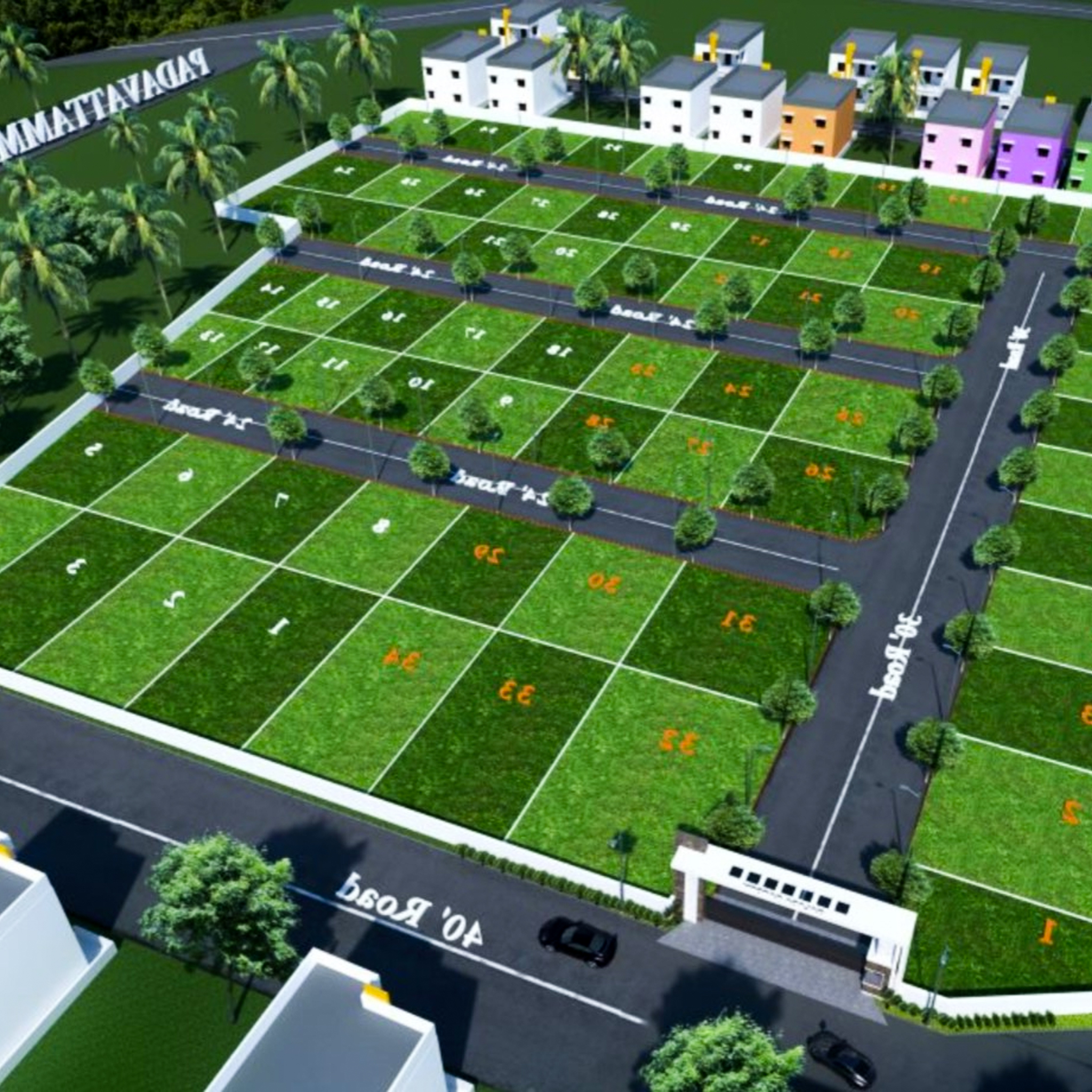Layout Survey